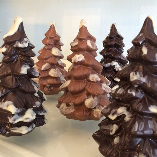 Evergreen Chocolate Tree - Allons Y  Delivery