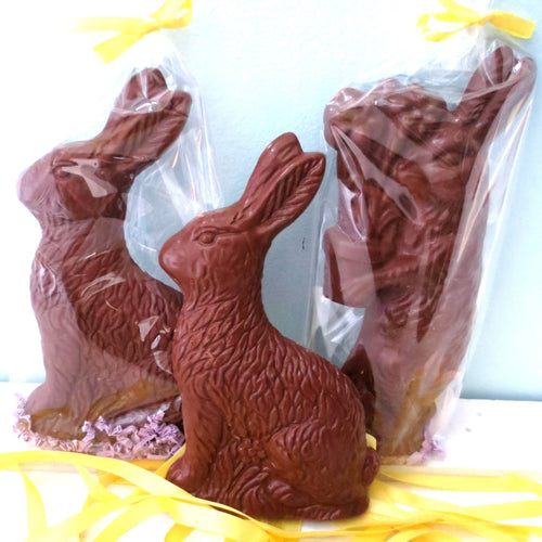 Mrs. or Mr. Big Easter Bunny - Allons Y  Delivery