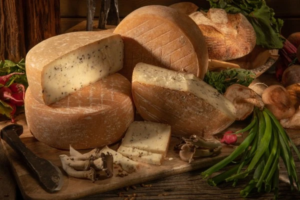 Truffalo (Truffle Buffalo)