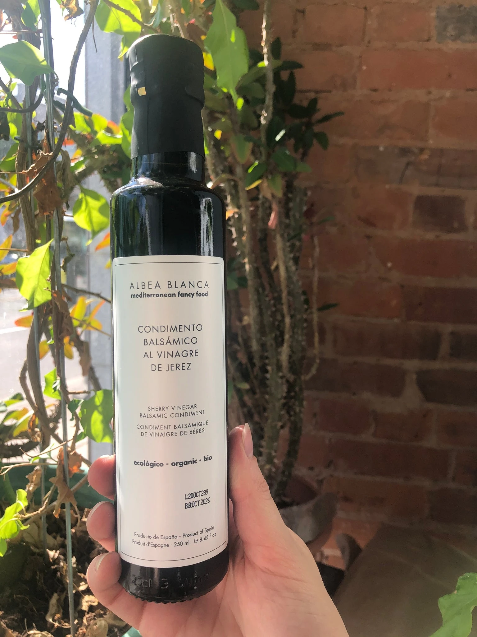 Sherry Vinegar Balsamic Condiment - Allons Y  Delivery