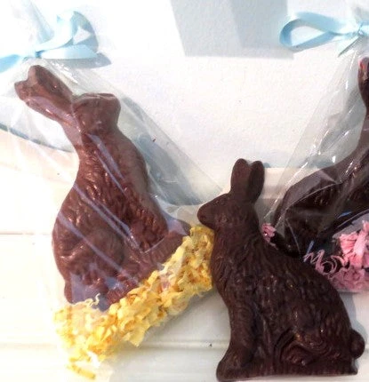 Easter Bunny. - Allons Y  Delivery
